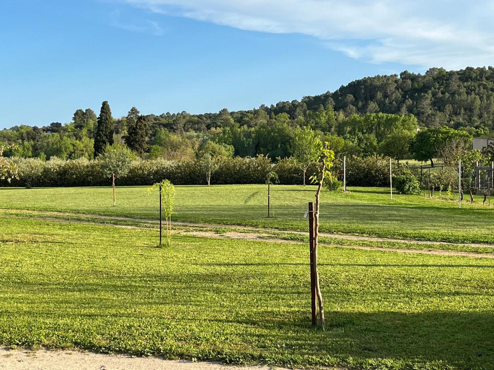 Apartament La Bergerie Domessargues Zewnętrze zdjęcie